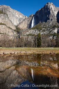 Yosemite Falls reflected in springtime pond, Cook's Meadow, Yosemite National Park, California