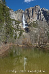Yosemite Falls reflected in the Merced River, viewed from Swinging Bridge, Yosemite National Park, California