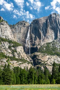 Yosemite Falls over Cook's Meadow, Yosemite National Park