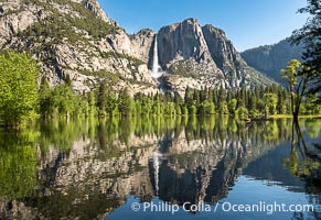 Yosemite Falls reflected in Flooded Sentinel Meadow, when the Merced River floods Yosemite Valley following a winter of historic snowfall in the Sierra Nevada, Yosemite National Park