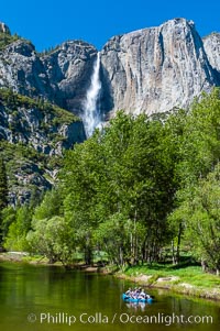 Rafters enjoy a Spring day on the Merced River in Yosemite Valley, with Yosemite Falls in the background, Yosemite National Park, California