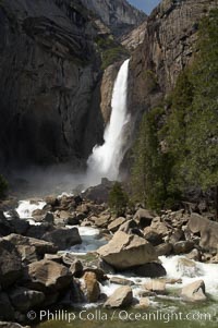 Lower Yosemite Falls near peak flow in spring. Yosemite Valley, Yosemite National Park, California