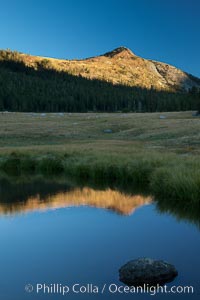 A Sierra Nevada Peak reflected in small tarn (pond), near Tioga Pass, Yosemite National Park, California