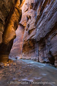 The Virgin River Narrows, where the Virgin River has carved deep, narrow canyons through the Zion National Park sandstone, creating one of the finest hikes in the world