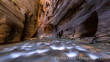 The Virgin River Narrows, where the Virgin River has carved deep, narrow canyons through the Zion National Park sandstone, creating one of the finest hikes in the world