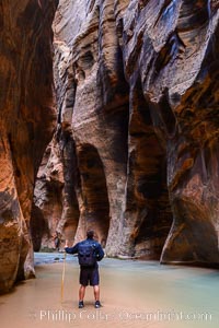 The Virgin River Narrows, where the Virgin River has carved deep, narrow canyons through the Zion National Park sandstone, creating one of the finest hikes in the world