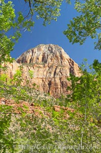 Red sandstone peaks above the Parus trail in Zion National Park