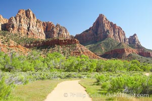 Red sandstone peaks above the Parus trail in Zion National Park