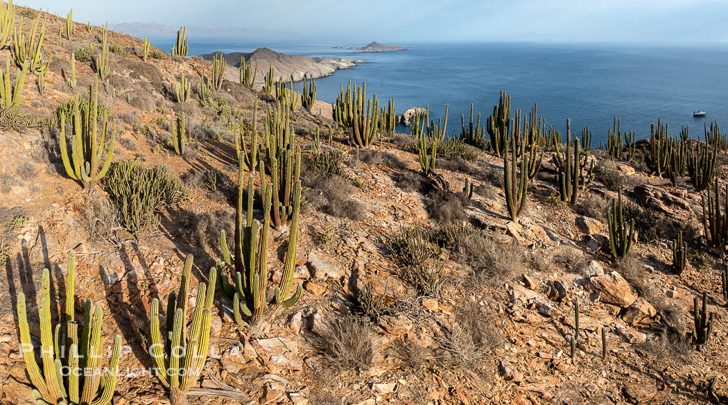 Aerial photo of Islas San Lorenzo in the Sea of Cortez. San Lorenzo Marine Archipelago National Park is a national park of Mexico located on San Lorenzo Island part of an archipelago in the Gulf of California off the eastern coast of Baja California. The San Lorenzo Archipelago is considered one of the most important ecological areas of the Gulf of California. The Island and surrounding areas are part of a rich ecosystem comprised by a grand variety of flora and marine fauna. This area is protected by the Mexican federal government Norma Oficial Mexicana because of its importance as a habitat for several endangered species., natural history stock photograph, photo id 40440