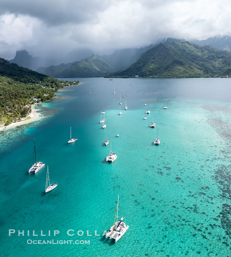 Cruising Sailboats at anchor in lagoon, Moorea, French Polynesia, aerial view. Opunohu Bay in the distance. France, natural history stock photograph, photo id 40671