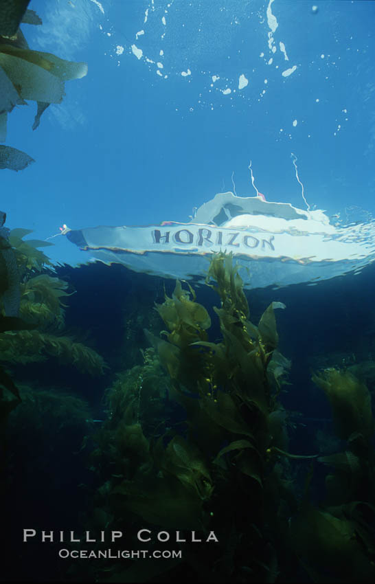 Boat Horizon above kelp forest. San Clemente Island, California, USA, Macrocystis pyrifera, natural history stock photograph, photo id 03763