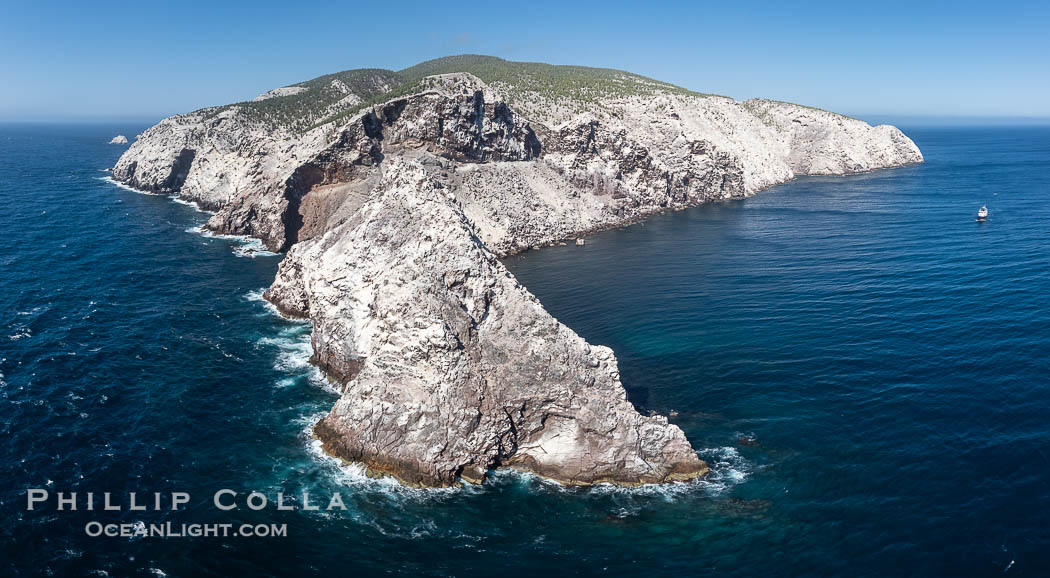 Isla San Pedro Martir aerial photo, Sea of Cortez, Mexico. San Pedro Martir Island and its marine life are, since 2002, part of the San Pedro Martir Biosphere Reserve, and is regarded as a natural laboratory of adaptive evolution, similar to that of the Galapagos Islands. It is home to 292 species of fauna and flora (both land-based and aquatic), with 42 species protected by Mexican law, and 30 listed on the Red List of Threatened Species. San Pedro Martir is also unique in the area for its year-round quantity of birds. The island is the only island in the area with a perpetually swirling cloud of sea birds. This is because the water around the island, has some of the most successful marine productivity in the world. Sonora, natural history stock photograph, photo id 40380