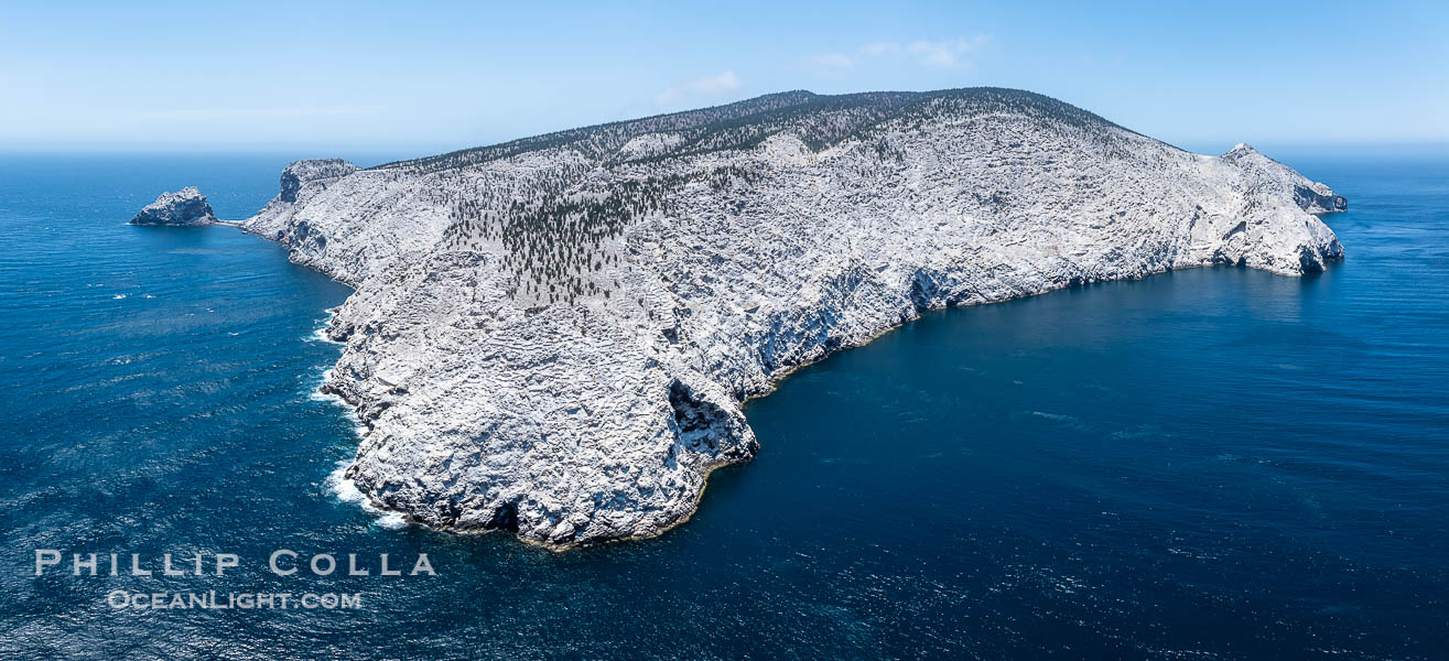 Isla San Pedro Martir aerial photo, Sea of Cortez, Mexico. San Pedro Martir Island and its marine life are, since 2002, part of the San Pedro Martir Biosphere Reserve, and is regarded as a natural laboratory of adaptive evolution, similar to that of the Galapagos Islands. It is home to 292 species of fauna and flora (both land-based and aquatic), with 42 species protected by Mexican law, and 30 listed on the Red List of Threatened Species. San Pedro Martir is also unique in the area for its year-round quantity of birds. The island is the only island in the area with a perpetually swirling cloud of sea birds. This is because the water around the island, has some of the most successful marine productivity in the world. Sonora, natural history stock photograph, photo id 40388