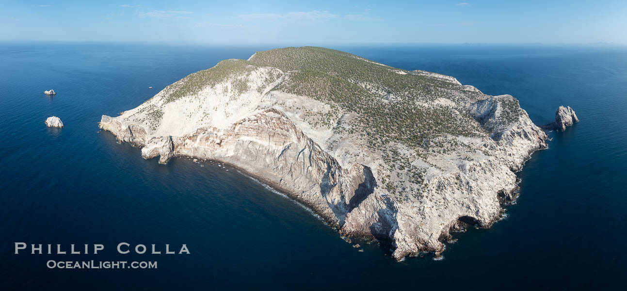 Isla San Pedro Martir aerial photo, Sea of Cortez, Mexico. San Pedro Martir Island and its marine life are, since 2002, part of the San Pedro Martir Biosphere Reserve, and is regarded as a natural laboratory of adaptive evolution, similar to that of the Galapagos Islands. It is home to 292 species of fauna and flora (both land-based and aquatic), with 42 species protected by Mexican law, and 30 listed on the Red List of Threatened Species. San Pedro Martir is also unique in the area for its year-round quantity of birds. The island is the only island in the area with a perpetually swirling cloud of sea birds. This is because the water around the island, has some of the most successful marine productivity in the world. Sonora, natural history stock photograph, photo id 40420