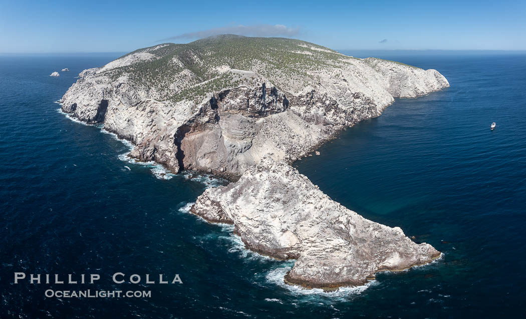 Isla San Pedro Martir aerial photo, Sea of Cortez, Mexico. San Pedro Martir Island and its marine life are, since 2002, part of the San Pedro Martir Biosphere Reserve, and is regarded as a natural laboratory of adaptive evolution, similar to that of the Galapagos Islands. It is home to 292 species of fauna and flora (both land-based and aquatic), with 42 species protected by Mexican law, and 30 listed on the Red List of Threatened Species. San Pedro Martir is also unique in the area for its year-round quantity of birds. The island is the only island in the area with a perpetually swirling cloud of sea birds. This is because the water around the island, has some of the most successful marine productivity in the world. Sonora, natural history stock photograph, photo id 40379