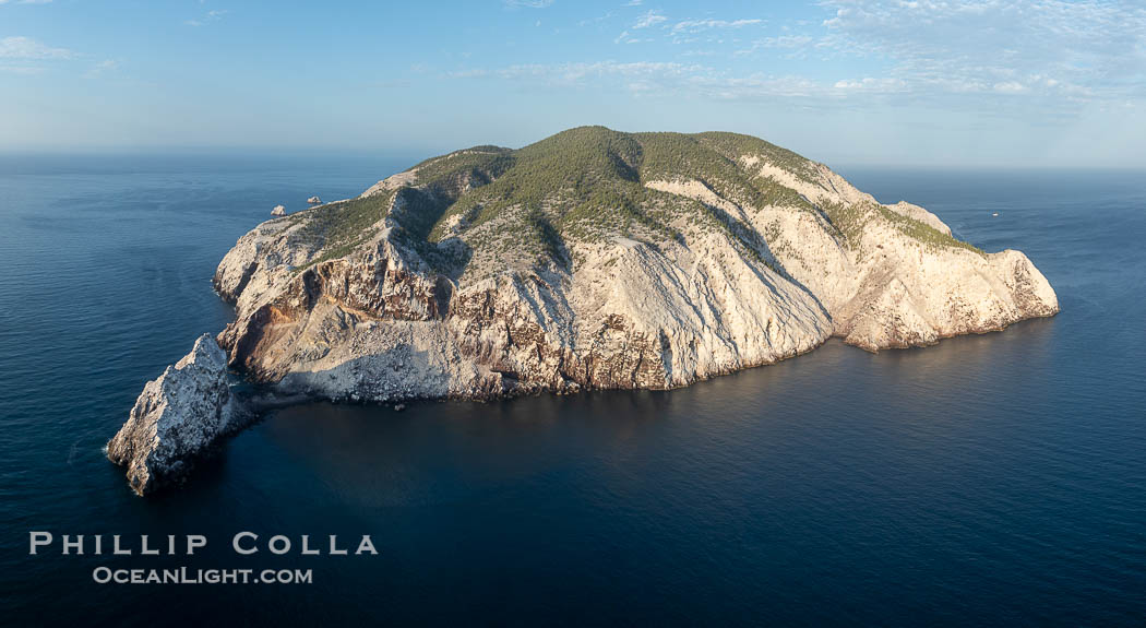 Isla San Pedro Martir aerial photo, Sea of Cortez, Mexico. San Pedro Martir Island and its marine life are, since 2002, part of the San Pedro Martir Biosphere Reserve, and is regarded as a natural laboratory of adaptive evolution, similar to that of the Galapagos Islands. It is home to 292 species of fauna and flora (both land-based and aquatic), with 42 species protected by Mexican law, and 30 listed on the Red List of Threatened Species. San Pedro Martir is also unique in the area for its year-round quantity of birds. The island is the only island in the area with a perpetually swirling cloud of sea birds. This is because the water around the island, has some of the most successful marine productivity in the world. Sonora, natural history stock photograph, photo id 40419