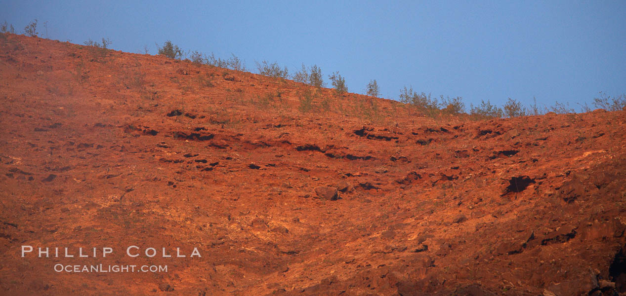 Red volcanic cliffs and sparse vegetation, sunrise, Guadalupe Island. Guadalupe Island (Isla Guadalupe), Baja California, Mexico, natural history stock photograph, photo id 21411