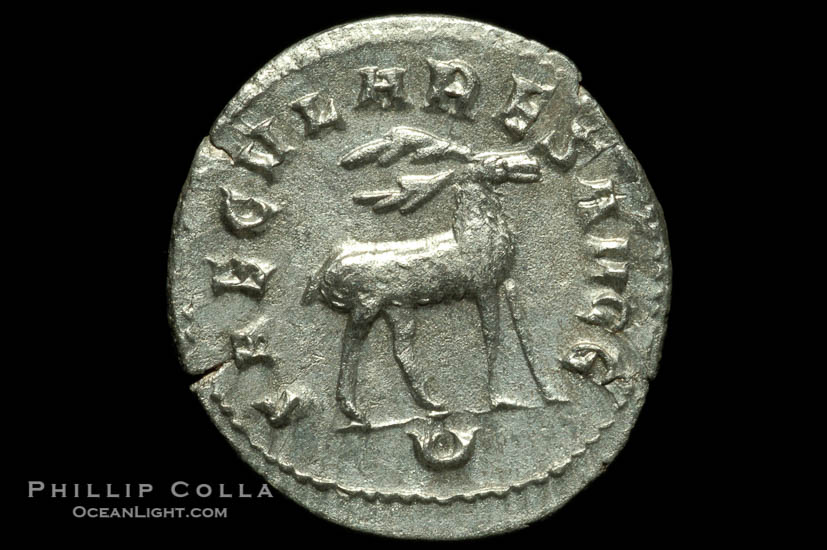 Roman emperor Philip I (244-249 A.D.), depicted on ancient Roman coin (silver, denom/type: Antoninianus)., natural history stock photograph, photo id 06807