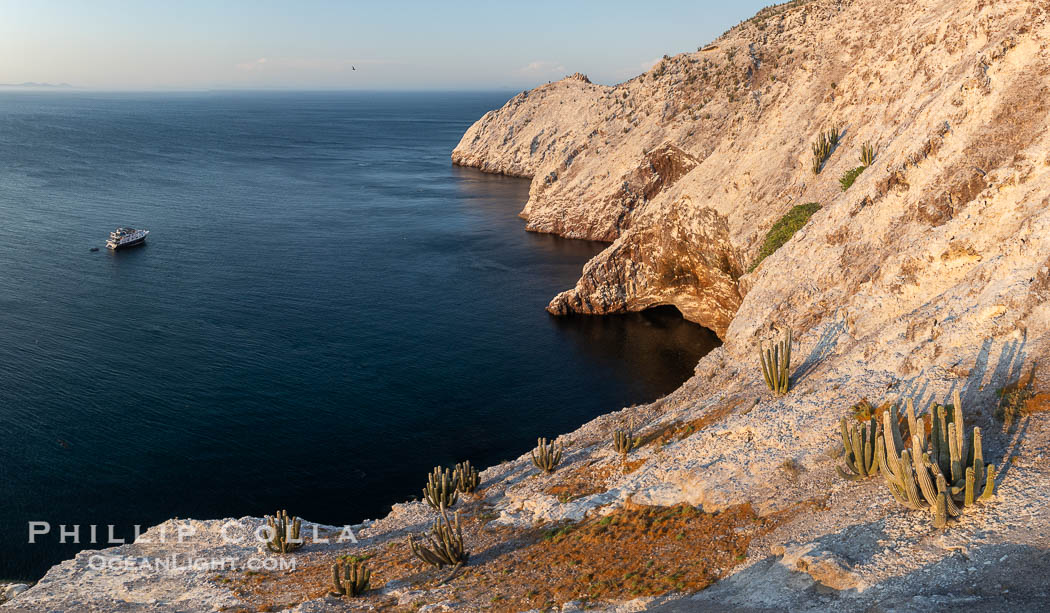 Rugged Terrain of Isla San Pedro Martir, Sea of Cortez. Aerial photo. The large bird population deposits enormous quantities of guano on the island, resulting in the white appearance of the island contrasted with sparse vegetation. In the late 19th and early 20th century guano was heavily mined off the island and shipped as far as Europe for use as fertilizer. San Pedro Martir is seldom visited, having near vertical sides leaving only questionable fair weather anchorages in two locations. Landing access was possible near a small isthmus in the southeast of the island, but is now forbidden. In 2005, the island was classified along with 244 others as a World Heritage Site by UNESCO, and included in the Islands and Protected Areas of the Gulf of California. Sonora, Mexico, natural history stock photograph, photo id 40402