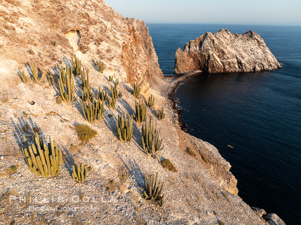 Rugged Terrain of Isla San Pedro Martir, Sea of Cortez. Aerial photo. The large bird population deposits enormous quantities of guano on the island, resulting in the white appearance of the island contrasted with sparse vegetation. In the late 19th and early 20th century guano was heavily mined off the island and shipped as far as Europe for use as fertilizer. San Pedro Martir is seldom visited, having near vertical sides leaving only questionable fair weather anchorages in two locations. Landing access was possible near a small isthmus in the southeast of the island, but is now forbidden. In 2005, the island was classified along with 244 others as a World Heritage Site by UNESCO, and included in the Islands and Protected Areas of the Gulf of California. Sonora, Mexico, natural history stock photograph, photo id 40400