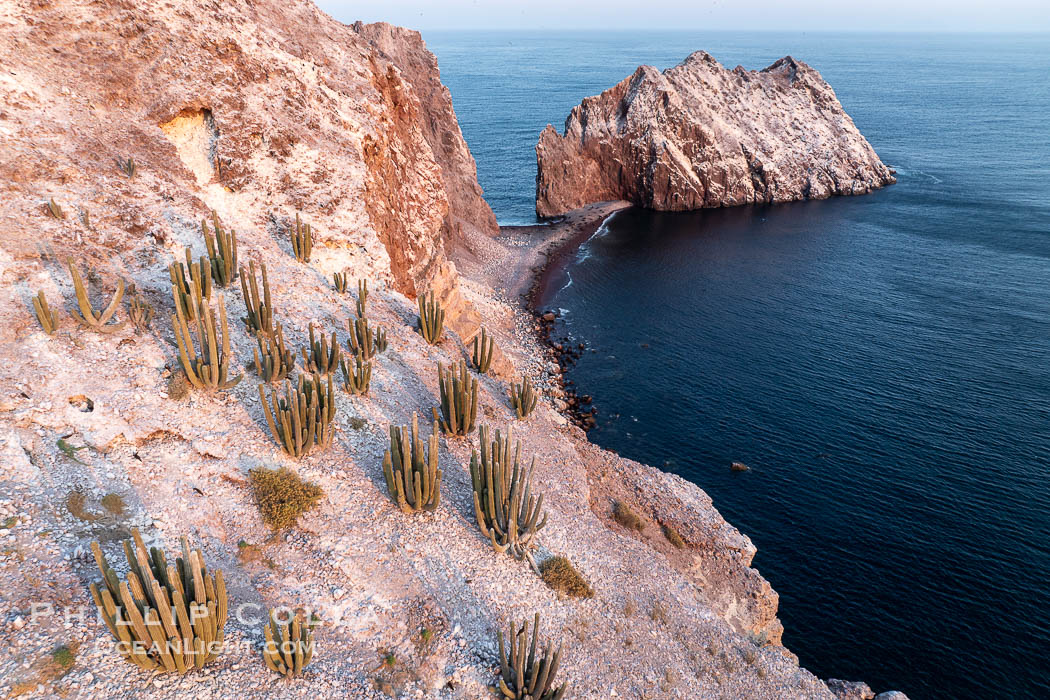 Rugged Terrain of Isla San Pedro Martir, Sea of Cortez. Aerial photo. The large bird population deposits enormous quantities of guano on the island, resulting in the white appearance of the island contrasted with sparse vegetation. In the late 19th and early 20th century guano was heavily mined off the island and shipped as far as Europe for use as fertilizer. San Pedro Martir is seldom visited, having near vertical sides leaving only questionable fair weather anchorages in two locations. Landing access was possible near a small isthmus in the southeast of the island, but is now forbidden. In 2005, the island was classified along with 244 others as a World Heritage Site by UNESCO, and included in the Islands and Protected Areas of the Gulf of California. Sonora, Mexico, natural history stock photograph, photo id 40407