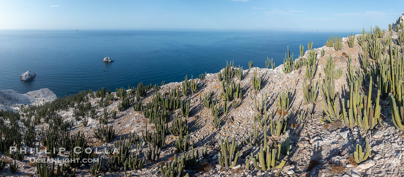 Rugged Terrain of Isla San Pedro Martir, Sea of Cortez. Aerial photo. The large bird population deposits enormous quantities of guano on the island, resulting in the white appearance of the island contrasted with sparse vegetation. In the late 19th and early 20th century guano was heavily mined off the island and shipped as far as Europe for use as fertilizer. San Pedro Martir is seldom visited, having near vertical sides leaving only questionable fair weather anchorages in two locations. Landing access was possible near a small isthmus in the southeast of the island, but is now forbidden. In 2005, the island was classified along with 244 others as a World Heritage Site by UNESCO, and included in the Islands and Protected Areas of the Gulf of California. Sonora, Mexico, natural history stock photograph, photo id 40421