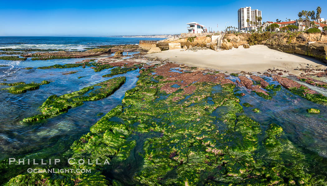 South Casa and Childrens Pool Reef Exposed at Extreme Low King Tide, La Jolla, California. Aerial panoramic photograph. USA, natural history stock photograph, photo id 40715