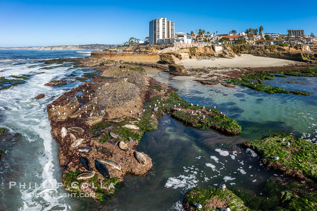 South Casa and Childrens Pool Reef Exposed at Extreme Low King Tide, La Jolla, California. Aerial panoramic photograph. USA, natural history stock photograph, photo id 40713