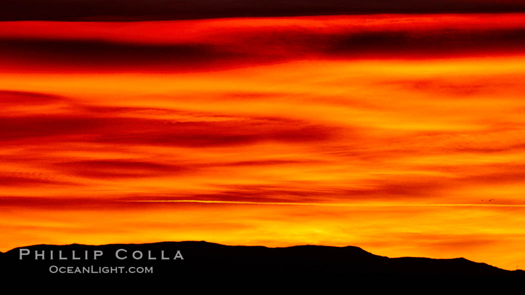 Sunrise at Bosque del Apache National Wildlife Refuge. Socorro, New Mexico, USA, natural history stock photograph, photo id 22080