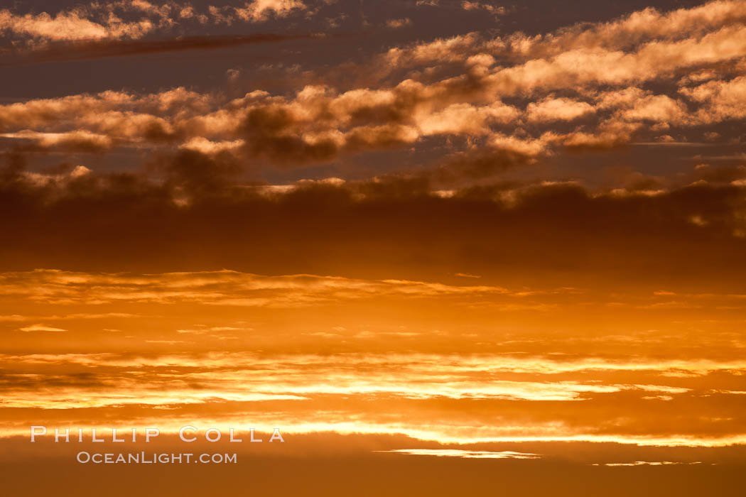 Sunset, dusk clouds, detail in the sky over the open sea, somewhere between Falkland Islands and South Georgia Island. Southern Ocean, natural history stock photograph, photo id 24098