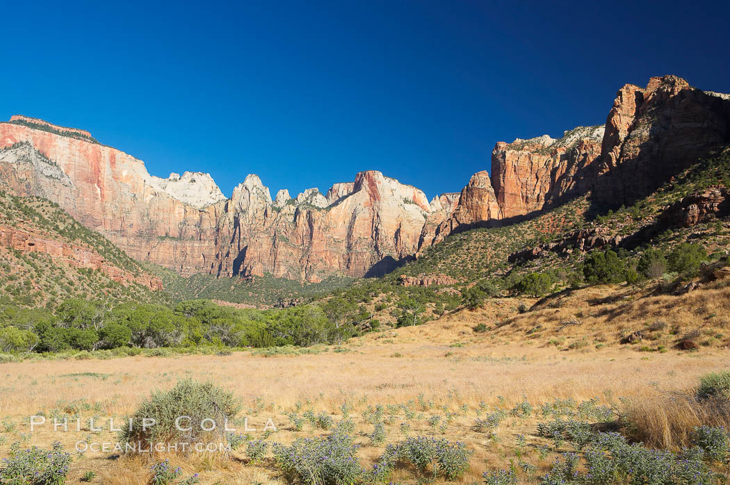 Towers of the Virgin. Zion National Park, Utah, USA, natural history stock photograph, photo id 13023