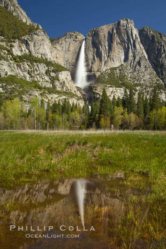 Yosemite Falls Reflected In A Meadow Pool Yosemite National Park