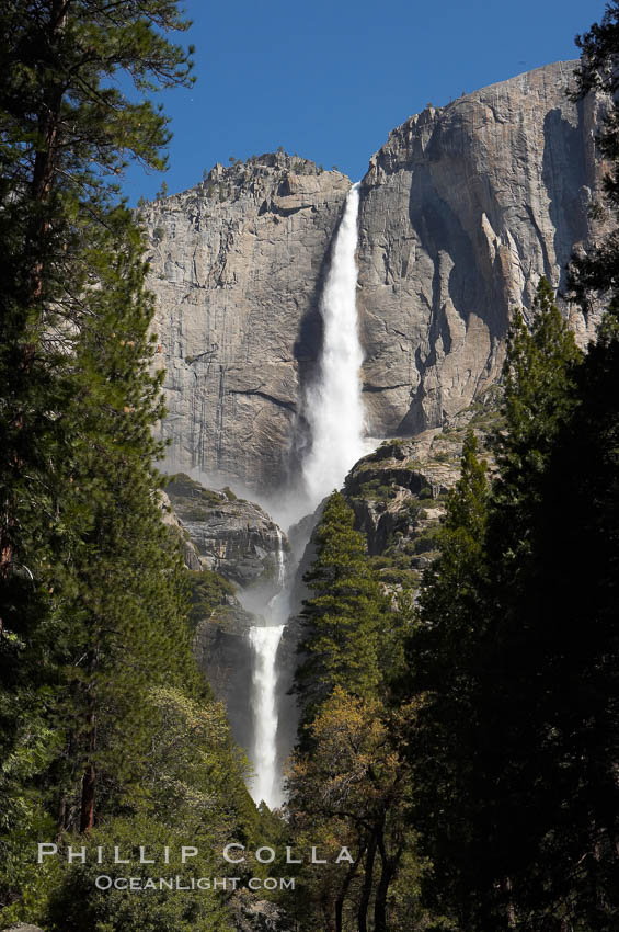 Yosemite Falls (upper, middle and lower sections) at peak flow, spring, Yosemite Valley. Yosemite National Park, California, USA, natural history stock photograph, photo id 16140