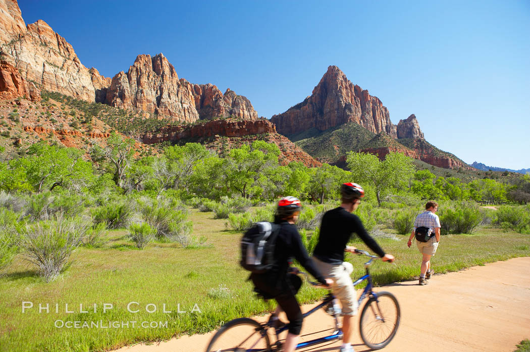 Red sandstone peaks above the Parus trail in Zion National Park. Utah, USA, natural history stock photograph, photo id 12489