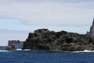 Guadalupe Island 2010, © Skip Stubbs, all rights reserved worldwide